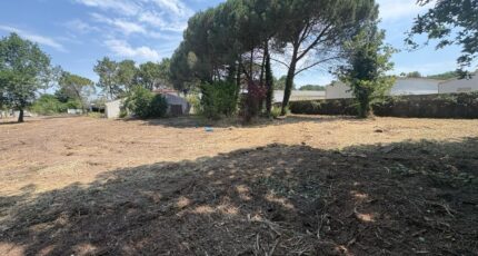 Les Mathes Terrain à bâtir - 2622019-11194annonce120260907u5PzT.jpeg Maisons Open