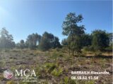  2577523-11071annonce220260708dT8hB.jpeg Maisons Open