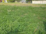  2567322-11016annonce120260628iNDDI.jpeg Maisons Open