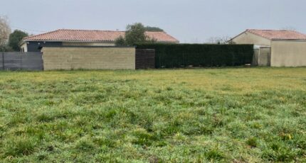 Margaux Terrain à bâtir - 2567337-11016annonce1202606281LWGU.jpeg Maisons Open
