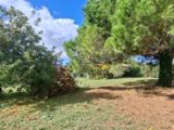  2626973-3362annonce120260909rDgTI.jpeg Maisons Open