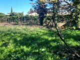  2599742-695annonce420260810X1UMb.jpeg Maisons Open