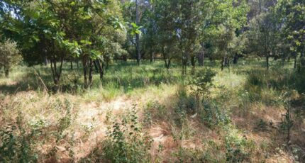 Garéoult Terrain à bâtir - 2579968-10122annonce3202607105VRpz.jpeg Maisons Open