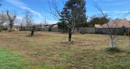 Saint-Vivien-de-Médoc Terrain à bâtir - 2620054-10624annonce2202602250O7li.jpeg Maisons Open
