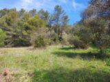  2626782-5922annonce2202609091Ua4F.jpeg Maisons Open