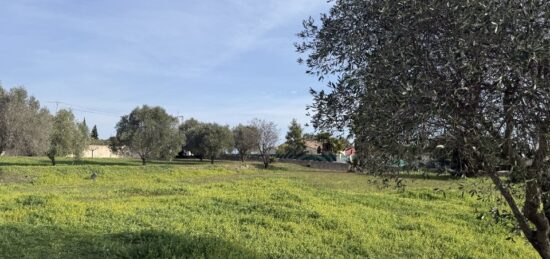 Terrain à bâtir à Roquebrune-sur-Argens, Provence-Alpes-Côte d'Azur