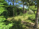  2627203-7060annonce320260909Wb3Cp.jpeg Maisons Open