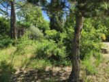  2627203-7060annonce5202609093XXT7.jpeg Maisons Open