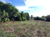  2627436-11080annonce220260909miB2E.jpeg Maisons Open