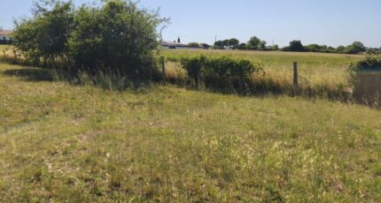 Arvert Terrain à bâtir - 2562074-11907annonce220260624kUqfQ.jpeg Maisons Open