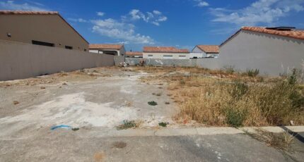Narbonne Terrain à bâtir - 2627003-11782annonce220260909PbI9p.jpeg Maisons Open