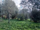  2627845-5922annonce420260910BuTp4.jpeg Maisons Open