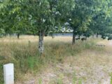  2529118-10994annonce120260602k132u.jpeg Maisons Open