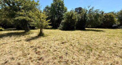 Bergerac Terrain à bâtir - 2573963-11709annonce120260703ZG673.jpeg Maisons Open