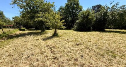 Bergerac Terrain à bâtir - 2573963-11709annonce220260703tpbKR.jpeg Maisons Open