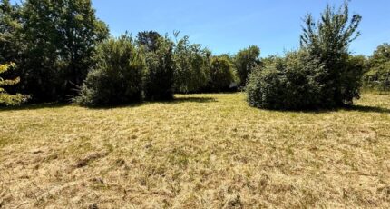 Bergerac Terrain à bâtir - 2573963-11709annonce320260703460wW.jpeg Maisons Open