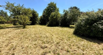Bergerac Terrain à bâtir - 2573963-11709annonce4202607031Asfc.jpeg Maisons Open