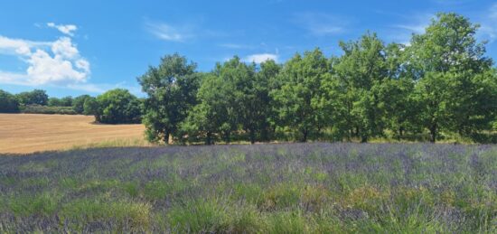 Terrain à bâtir à Roumoules, Provence-Alpes-Côte d'Azur