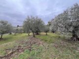 2612309-2970annonce320260901AWPU5.jpeg Maisons Open