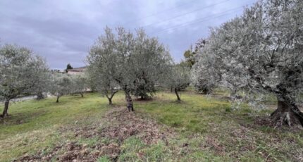 Manosque Terrain à bâtir - 2612309-2970annonce320260901AWPU5.jpeg Maisons Open