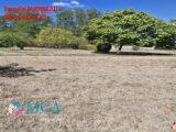  2628171-3601annonce1202609104CPSF.jpeg Maisons Open