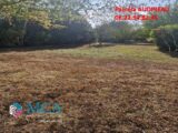  2628246-3601annonce120260910lfT31.jpeg Maisons Open