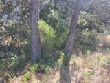  2629573-11041annonce320260911qy6QF.jpeg Maisons Open