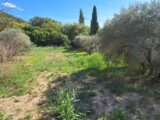  2629650-11041annonce420260911CGXOt.jpeg Maisons Open