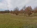  2626674-6043annonce120260909sBVQl.jpeg Maisons Open