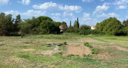 Morières-lès-Avignon Terrain à bâtir - 2629684-3969annonce1202609116PTPd.jpeg Maisons Open