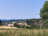  2598150-812annonce420260807IH94u.jpeg Maisons Open