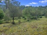  2629764-11137annonce1202609116yVoR.jpeg Maisons Open