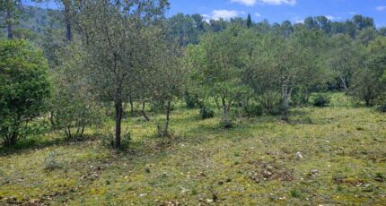 Garéoult Terrain à bâtir - 2629764-11137annonce1202609116yVoR.jpeg Maisons Open