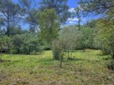  2629764-11137annonce3202609113m6sT.jpeg Maisons Open