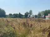  2627357-11913annonce320260909A1QWm.jpeg Maisons Open