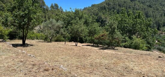 Terrain à bâtir à Solliès-Pont, Provence-Alpes-Côte d'Azur