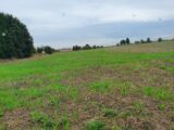  2599643-4439annonce220260810lhtvf.jpeg Maisons Open