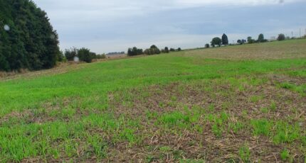 Écurie Terrain à bâtir - 2599643-4439annonce220260810lhtvf.jpeg Maisons Open
