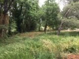  2630920-11833annonce320260911HqWes.jpeg Maisons Open