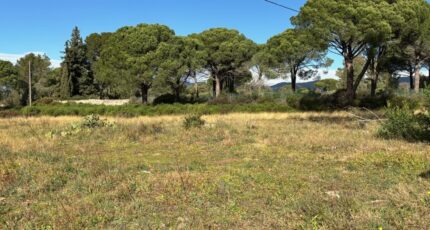 Puget-sur-Argens Terrain à bâtir - 2632050-5826annonce120260317OADqi.jpeg Maisons Open