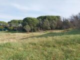  2551616-11157annonce220260616uCL7O.jpeg Maisons Open
