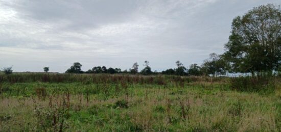 Terrain à bâtir à Basly, Normandie