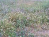  2583358-4671annonce1202607169RT3D.jpeg Maisons Open