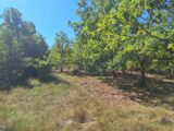  2622959-6932annonce1202609074nEQg.jpeg Maisons Open