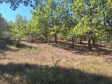  2622959-6932annonce220260907i6OPu.jpeg Maisons Open