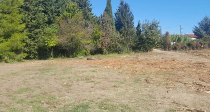 Morières-lès-Avignon Terrain à bâtir - 2632455-695annonce120260914hZNnX.jpeg Maisons Open