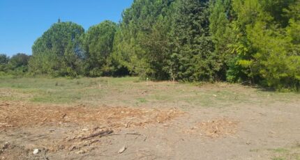 Morières-lès-Avignon Terrain à bâtir - 2632460-695annonce320260914BzFXy.jpeg Maisons Open