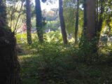  2628130-11790annonce120260910yhn1w.jpeg Maisons Open