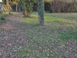  2629512-11790annonce220260323xIWv1.jpeg Maisons Open
