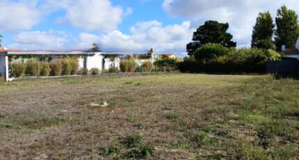 Château-d'Olonne Terrain à bâtir - 2632114-11931annonce220260914qFXbn.jpeg Maisons Open